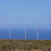 Cururos