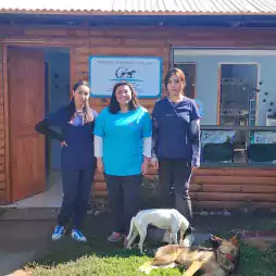 20240322_120223 veterinaria